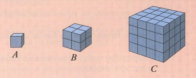 - Calcula el volumen de estos cuerpos tomando como unidad el cubo unitario A: Cuál sería el volumen de las figuras C y D, tomando como unidad la figura B? 56.