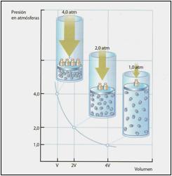 Por lo tanto la presión del gas será equivalente al a de una columna de alrededor de 400 mm de mercurio (400 mmhg).