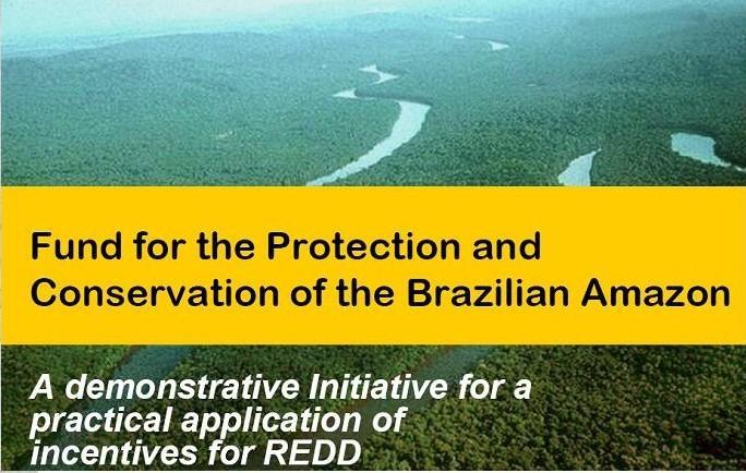 Fondo Amazonía Propuesta original