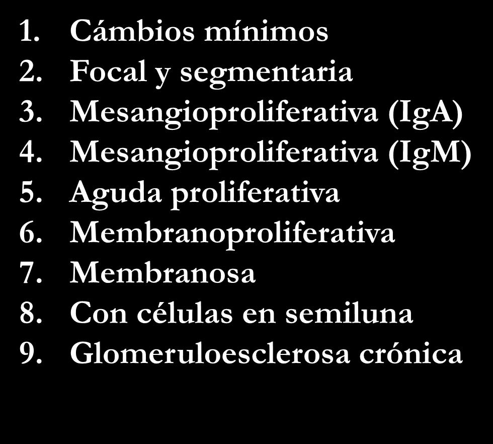 Clasificación Histológica Glomerulonefritis Idiopáticas 1. Cámbios mínimos 2. Focal y segmentaria 3. Mesangioproliferativa (IgA) 4.