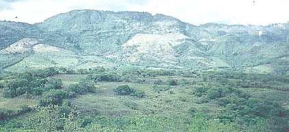 Disponibilidad de Bosques Naturales en Nicaragua Segun Tasa Bruta de Natalidad (1990).