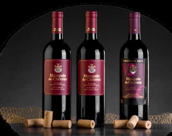 Rioja Viña Salceda Crianza 3 Bolsas Burbuja Protectora Botellas 1