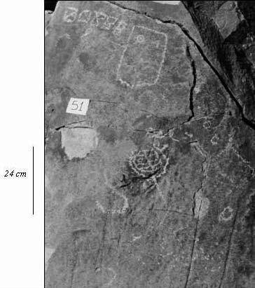 La serpiente en el arte rupestre de Nocui, norte semiárido de Chile Discusión A través del análisis desarrollado hemos podido establecer algunos límites al concepto y referente serpentimorfo, límites