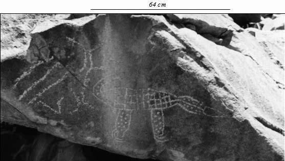 La serpiente en el arte rupestre de Nocui, norte semiárido de Chile Figura 9. SVN-4, panel 36.