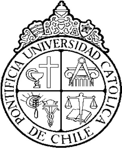PONTIFICIA UNIVERSIDAD CATOLICA DE CHILE INSTITUTO DE ECONOMIA MAGISTER EN