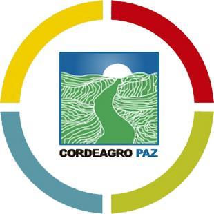 Sena-Ecopetrol-DPS Fedepalma - Cenipalma CONTENIDO Asociaciones de pequeños