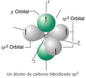 Carbonos sp 2 En la hibridación trigonal se hibridan los orbitales 2s, 2p
