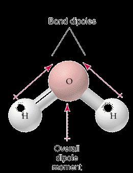 polaridad de los enlaces de la molécula.