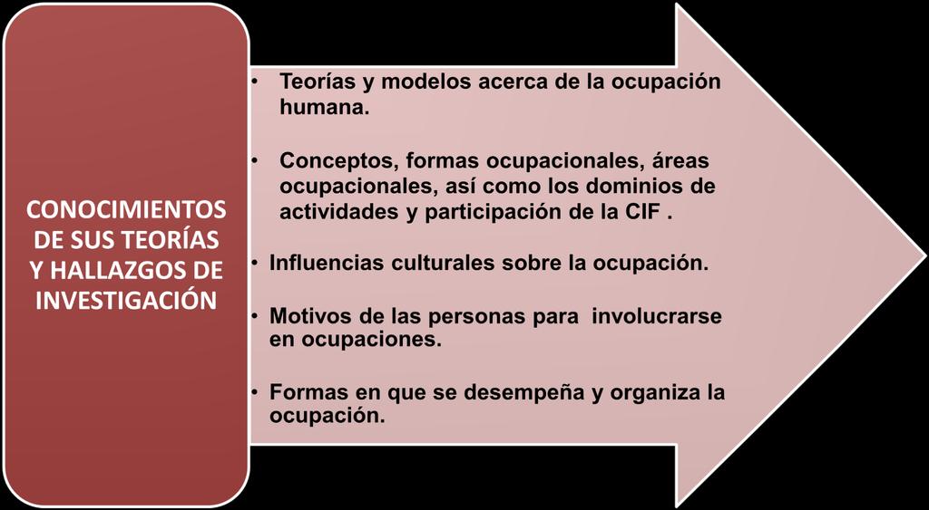 Algunos Criterios Para la Formación de los Terapeutas Ocupacionales. - PDF  Descargar libre