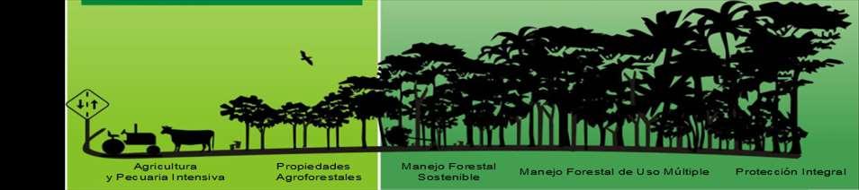 Financiamiento para áreas destinadas a la protección con baja amenaza por deforestación y alta