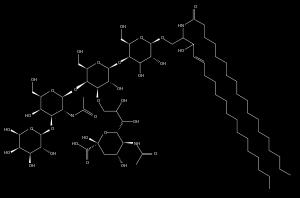 CH = CH (CH 2 ) 12 CH 3 Fosfoacilgliceroles o Fosfolípidos. Esfingomielinas. Cerebrósidos. Gangliósidos. Colesterol.