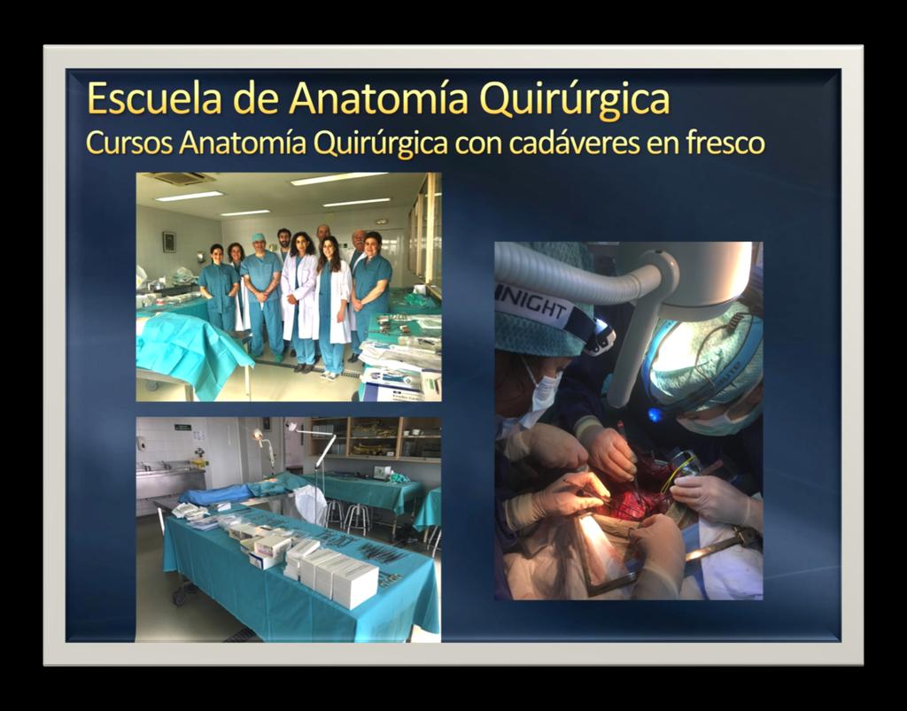Estimado amigo: Dentro del programa de formación de la Escuela de Anatomía Quirúrgica Universidad de Navarra para Ginecólogos hemos organizado este trimestre un curso de formación con cadáveres