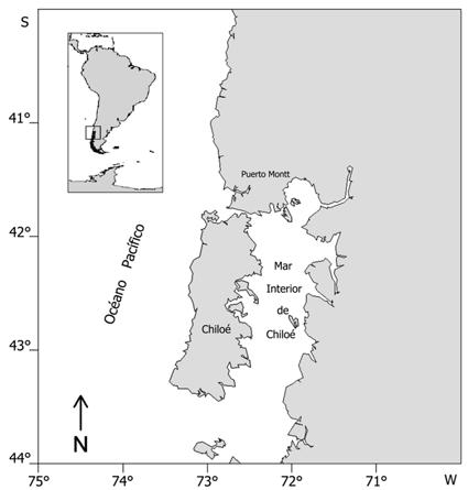 presentes en Chile. Akira (1987), reconoce a S. fuegensis como parte importante de la dieta de la trucha café (Salmo trutta) en el fiordo Aysén del sur de Chile (54 20 S- 73 00 W). Aranis et al.