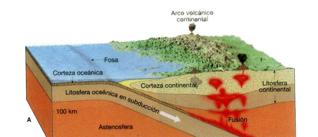 Un ejemplo lo constituye la cordillera de los Andes, que se origina por la subducción de la Placa de Nazca (oceánica) bajo la Placa