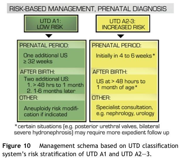 Manejo basado en riesgo con diagnóstico prenatal Hiep T. Nguyen, Carol B. Benson, Bryann Bromley, et al.