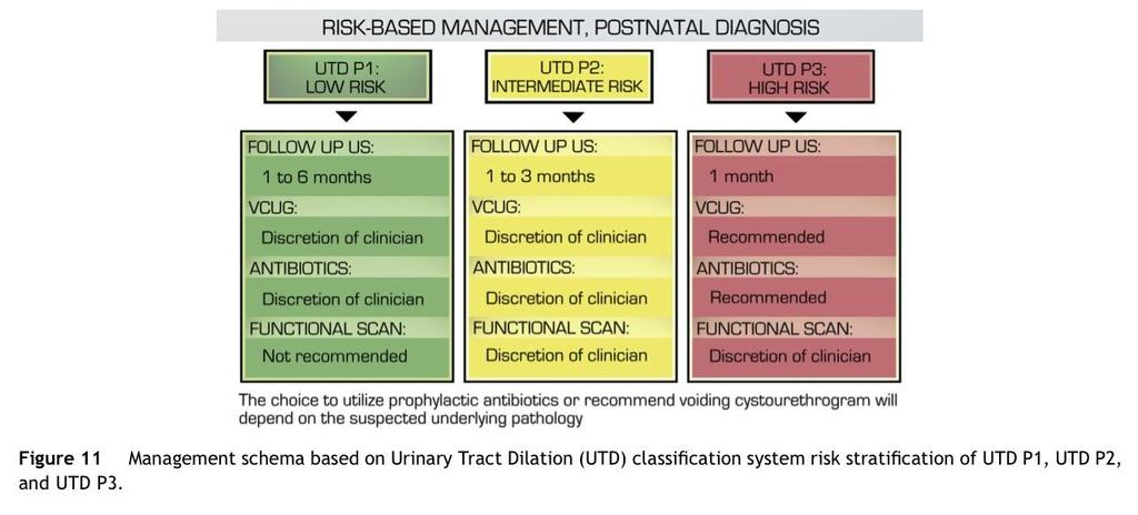 Manejo basado en riesgo con diagnóstico postnatal Hiep T. Nguyen, Carol B. Benson, Bryann Bromley, et al.