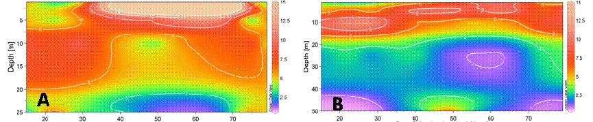 El análisis temporal por estación reveló que a 1 mn la biomasa fitoplanctónica mantuvo altas concentraciones durante todo el periodo (>1 µg Cl a/l), restringidos a los primeros 2 m de profundidad.