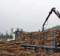 Durante as operacións de carga de madeira: - Sinaliza a zona advertindo dos traballos e verifica que non haxa ninguén na zona de seguridade.