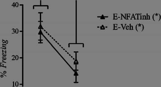 Resultados de Bonferroni entre los primeros 5 min de la reexposición y los últimos 5 min de la reexposición para todos los grupos: E-Veh: p < 0,05; E-NFATinh: p < 0,05).