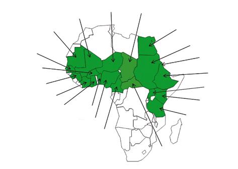 Figura 1: Red de vigilancia de la peste bovina Mauritania Malí Níger Chad Egipto Senegal Burkina Faso Guinea Côte d Ivoire Ghana Benin Nigeria Camerún Sudán República Centroafricana Eritrea Etiopía