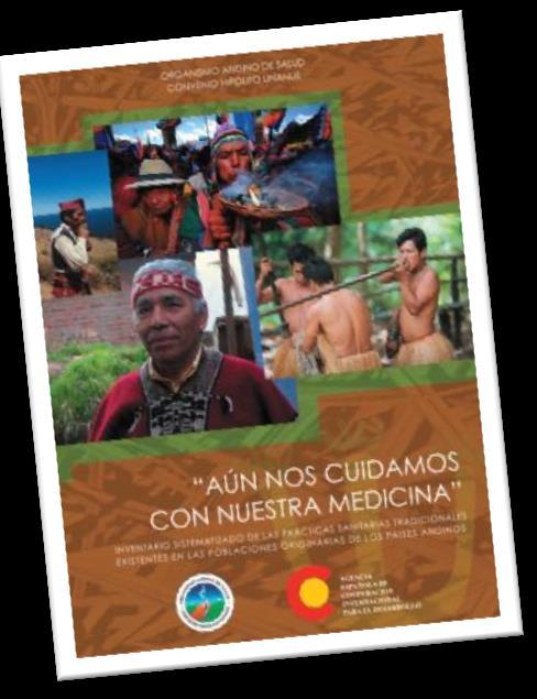 Articular con los programas sanitarios estatales en un marco de interculturalidad, con equilibrio y respeto a los saberes y prácticas tradicionales.
