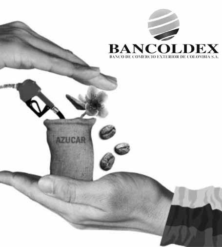 Banco de Comercio Exterior BANCOLDEX Acerca de la entidad: El Banco de Comercio Exterior S.A. BANCOLDEX- es una sociedad de economía mixta del orden nacional, no asimilada al régimen de las empresas industriales y comerciales del Estado.