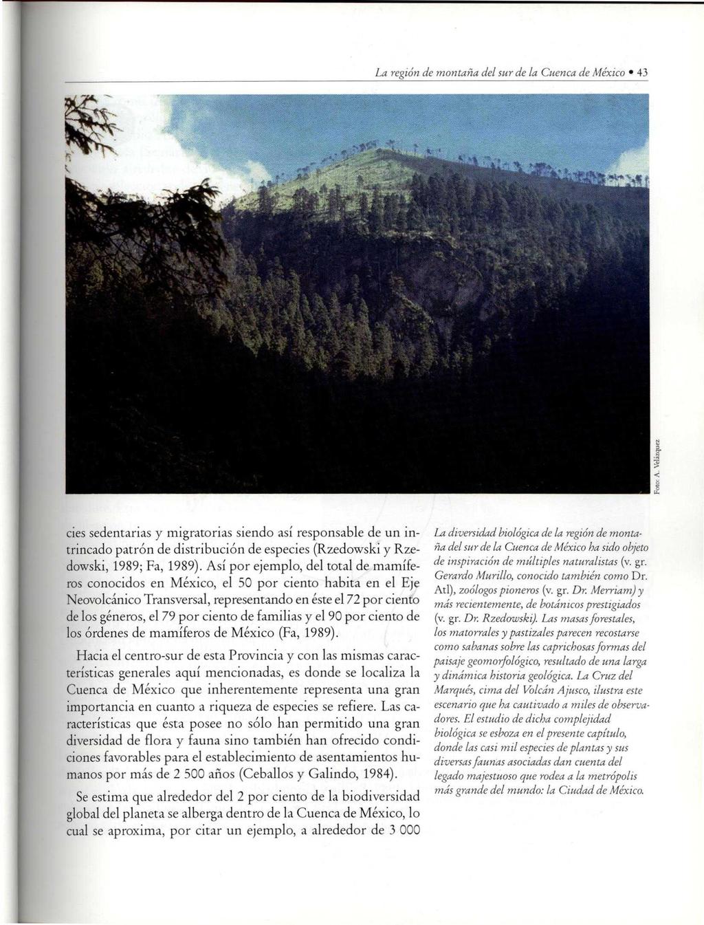 La región de montaña del sur de la Cuenca de México 43 cies sedentarias y migratorias siendo así responsable de un intrincado patrón de distribución de especies (Rzedowski y Rzedowski, 1989; Fa,