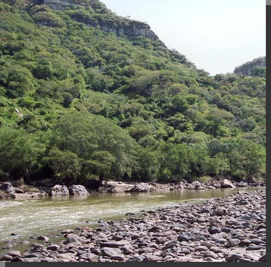 Programa de Rescate de Ríos R Barrancas y Cuerpos de Agua en el Valle de MéxicoM La recuperación del valor ambiental de las barrancas y