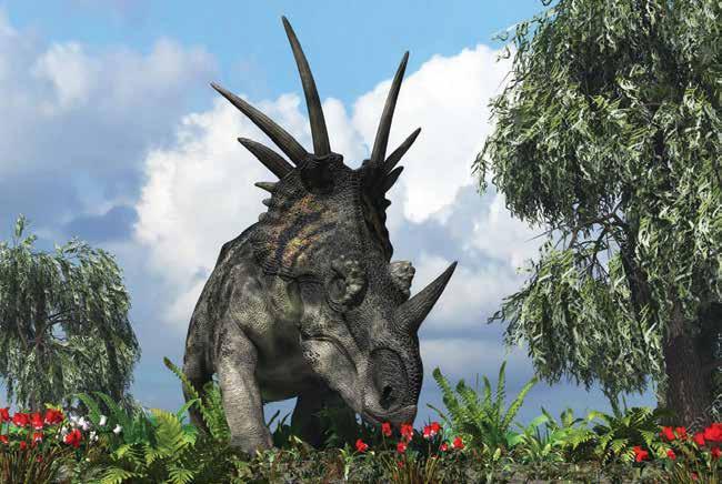 Dieta Como la mayoría de los Ceratópsidos, el Estiracosaurio poseía un pico y dientes especializados en