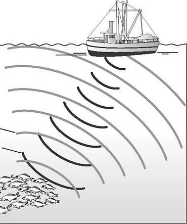 Ejemplo 1: La señal de un sonar es recibida apenas 3 segundos después de ser enviada desde un barco hacia el fondo oceánico y se sabe que el
