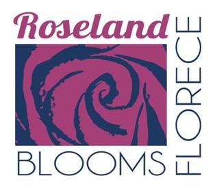 Plan Específico del Área de Roseland/Sebastopol Road y Anexion del Area de Roseland RESUMEN DEL TALLER COMUNITARIO #3 INTRODUCCIÓN El tercer taller comunitario para el Plan Específico y Proyectos de