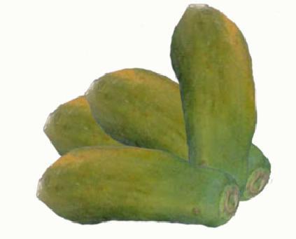 Cuadro 2. Precio promedio semanal Papaya criolla, mediana, de primera (ciento) Precio promedio (quetzales) Variación 600.00 583.00-17.00-2.