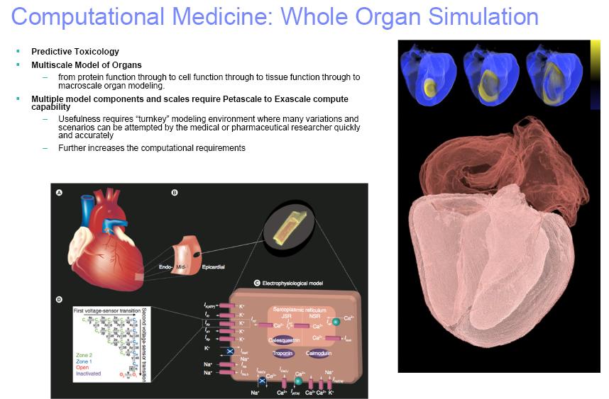 Simulación de órganos
