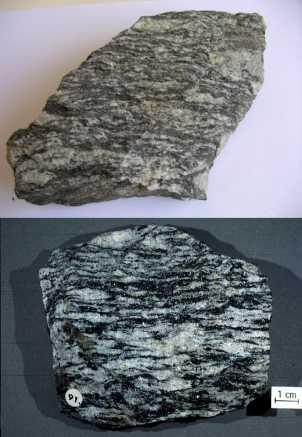 Rocas foliadas Gneis: roca bandeada de grano medio a grueso.