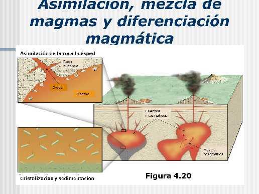 Diferenciación magmática Mezcla de magmas: en ciertos ambientes como, por ejemplo, las zonas de subducción, pueden coincidir un magma
