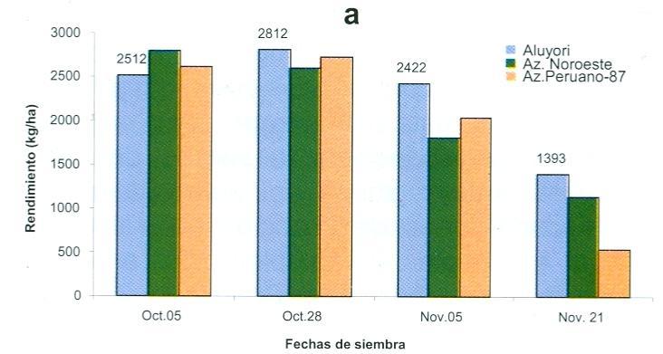 CUADRO 4. Rendimiento obtenido en diferentes ciclos y ambientes de evaluación de la variedad Aluyori comparado con Azufrado Higuera y Azufrado Regional 87.