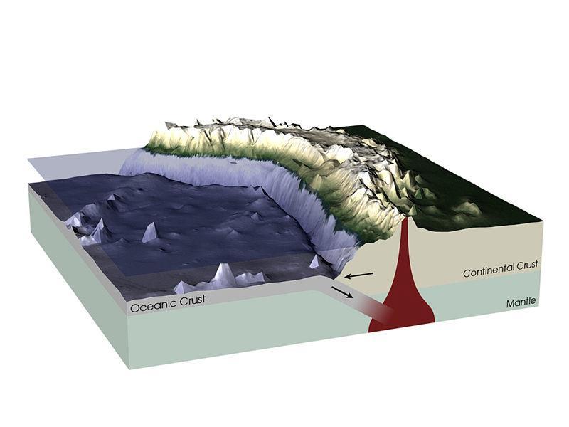 El estudio de los fondos oceánicos Principales relieves oceánicos Fosa oceánica.