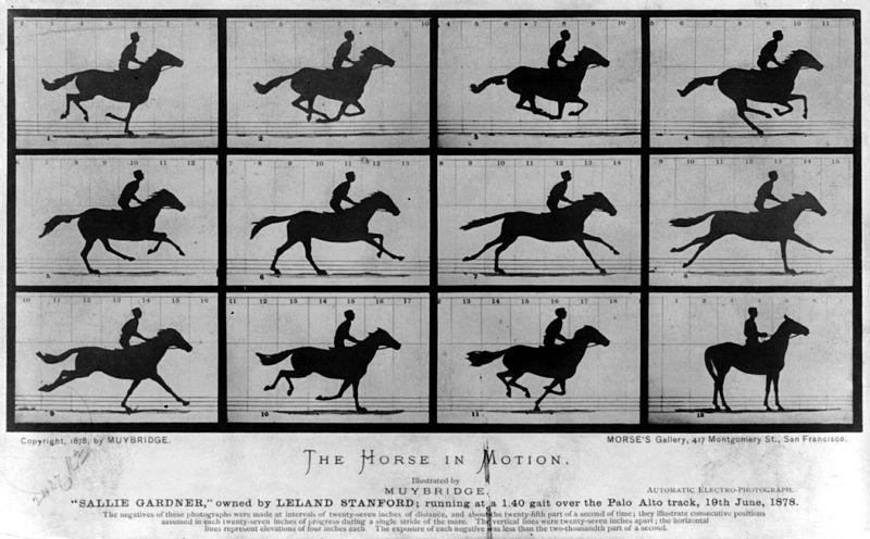 Imágenes de Eadweard Muybridge (1878). De dominio público. Fuente: http://en.wikipedia.
