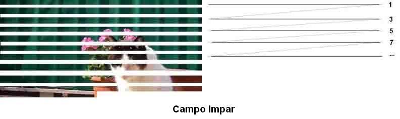 Campos pares / impares Imagen de Jose