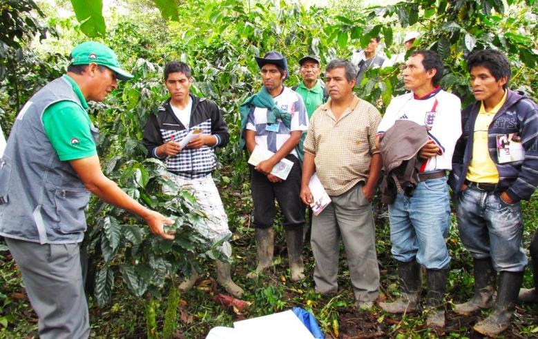Para ello se convocó a una reunión dirigida a profesionales de diversas entidades ejecutoras de Huánuco, Ucayali y Tarapoto en el auditorio de la Oficina Zonal de Tingo María.