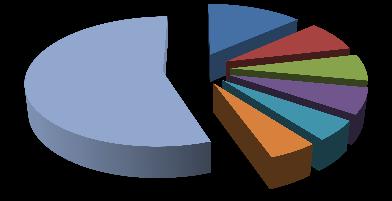 La Gráfica 1 muestra los estados con el mayor porcentaje de Población de acuerdo con el cuadro 1. 55.47% Gráfica 1 Población México 2013 13.45% 7.91% 6.68% 6.50% 5.06% 4.93% Edo.