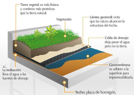 Techo que está parcial o totalmente cubierto de vegetación, ya sea en suelo o en un medio de cultivo apropiado.