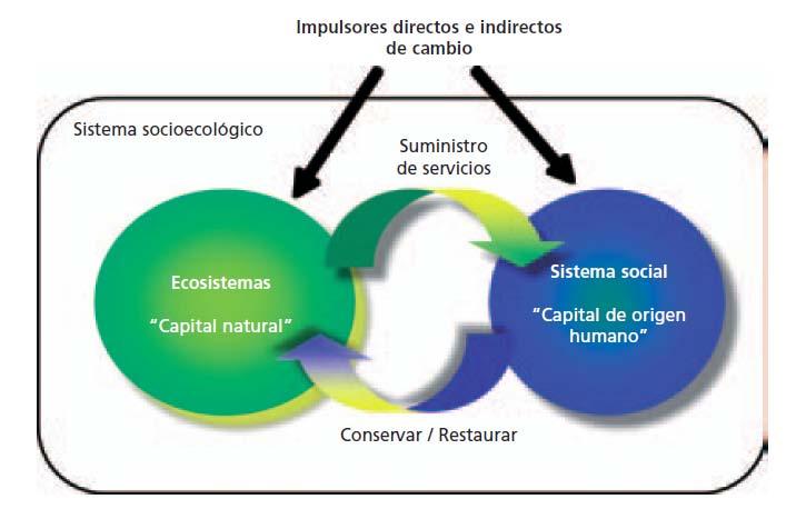 NUEVOS ENFOQUES: SOCIOECOSISTEMA. Fuente: Duarte (coord.): Cambio Global. Impacto de la actividad humana sobre el sistema Tierra. CSIC, Madrid. 2009.