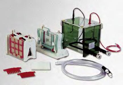Sistema completo con: Cubeta de Electroforesis Vertical completa, serpentín de refrigeranción, base soporte para formación geles, placas lisas y formateadas, espaciadores, peines, 2 cassettes