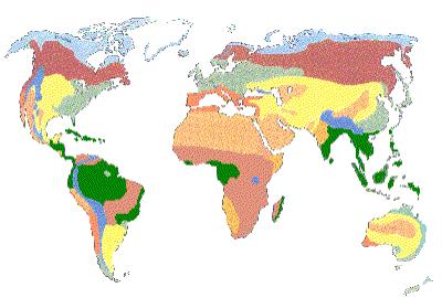 BIOMA Un bioma es una clasificación global de áreas