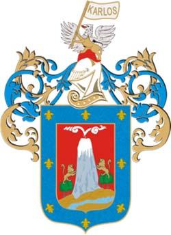 Municipalidad Provincial de Arequipa REGLAMENTO PROCESO