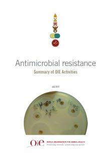 antimicrobianos de importancia en medicina veterinaria Programas de creación de capacidades Animales terrestres &