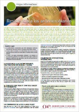 Material de difusión Hoja informativa sobre la resistencia a los antimicrobianos (Actualizada: julio