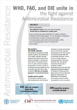 Material de difusión Ficha de referencia sobre la resistencia a los antimicrobianos (Actualizada: julio