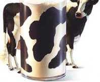 Calidad de la leche Higiénica Sanitaria Composicional (grasa, proteína) El precio de leche